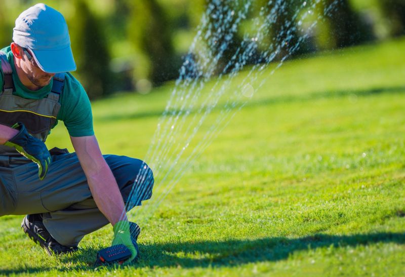 Sprinkler System Inspection Service detail