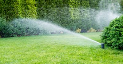 Sprinkler System Inspection Service detail